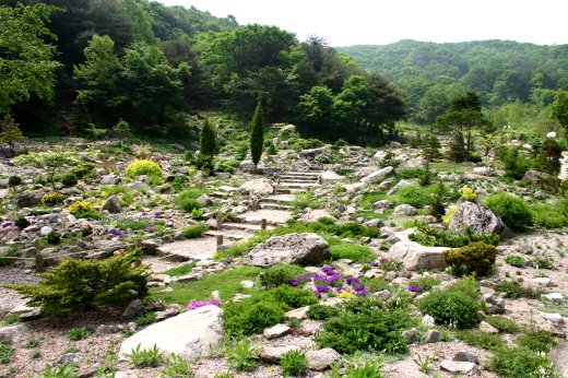 평강식물원 이미지